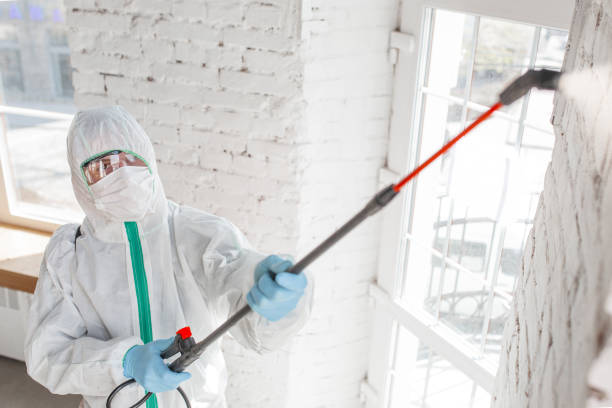 Best Mold Prevention Services  in Lauderdale By The Sea, FL