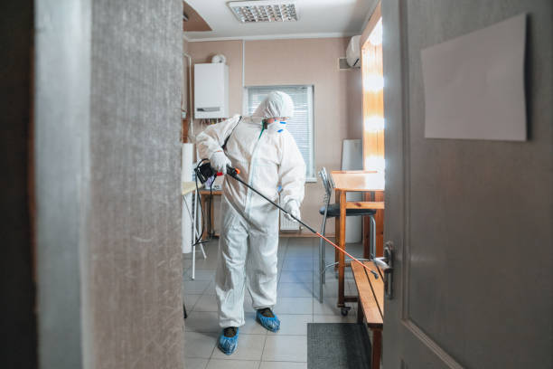 Reliable Lauderdale By The Sea, FL Mold Removal Solutions