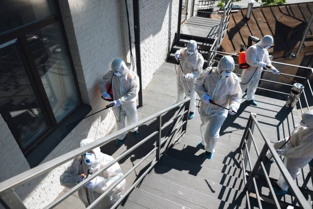 Best Real Estate Mold Inspection  in Lauderdale By The Sea, FL