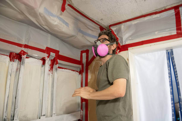 Lauderdale By The Sea, FL Mold Removal Company