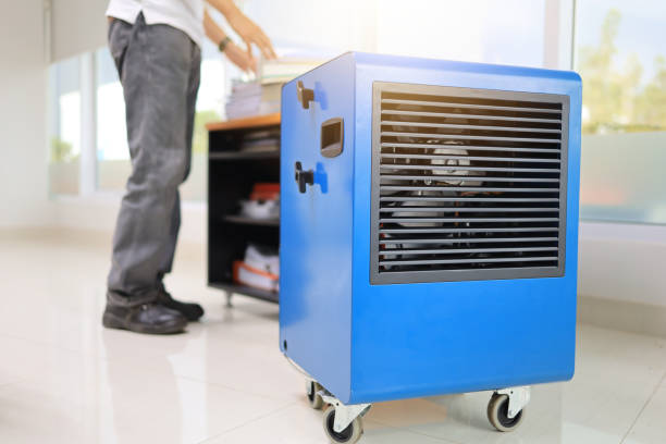 Best HVAC Mold Inspection and Cleaning  in Lauderdale By The Sea, FL