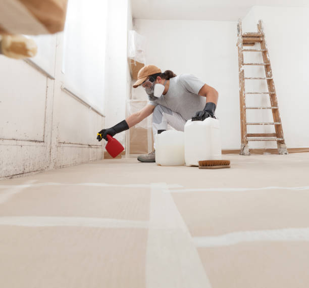 Best Mold-Related Health Consultation  in Lauderdale By The Sea, FL
