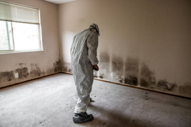 Forensic Mold Investigation in Lauderdale By The Sea, FL