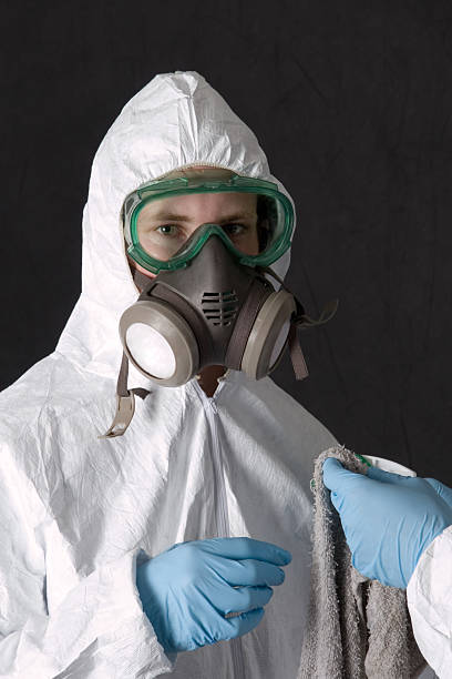 Best Asbestos and Lead Testing During Mold Inspection  in Lauderdale By The Sea, FL